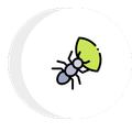 ant icon