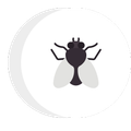 fly icon