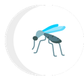 mosquito icon