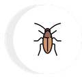 roach icon