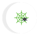 spider icon