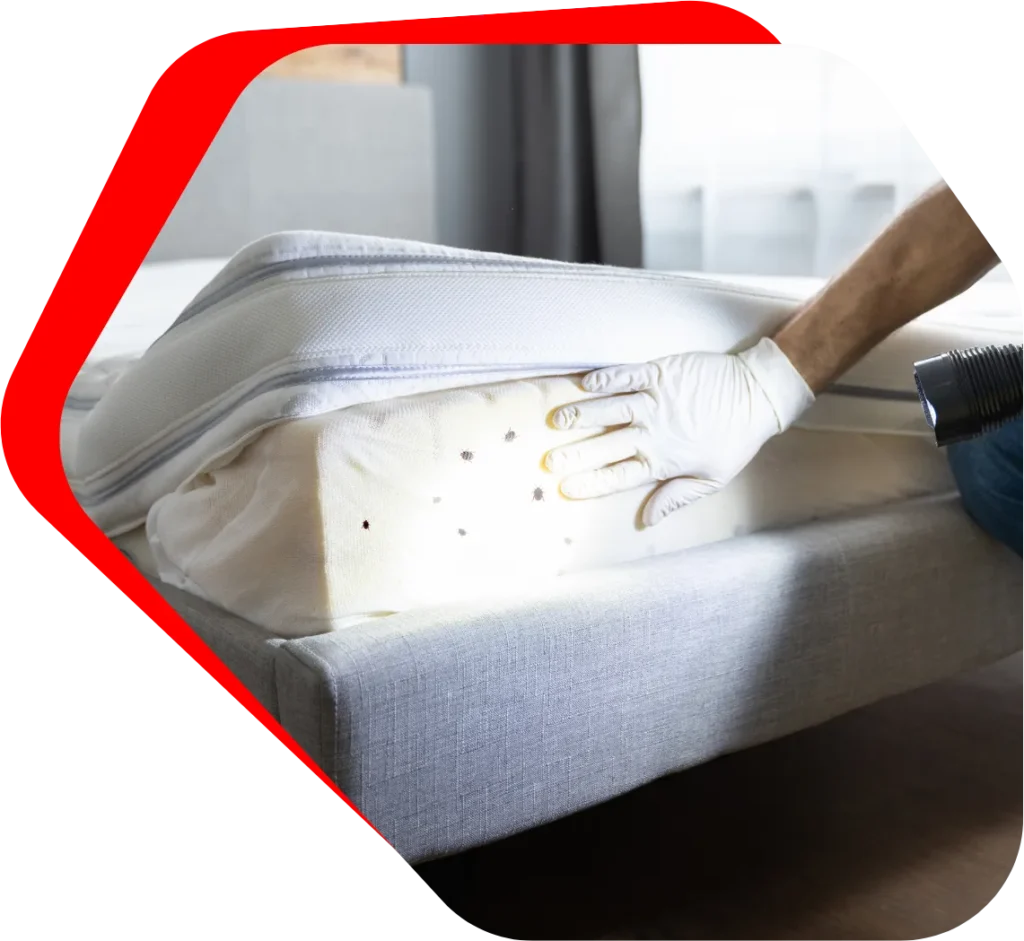 Bed Bug Exterminator Baltimore, MD Banner Image