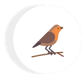 bird icon