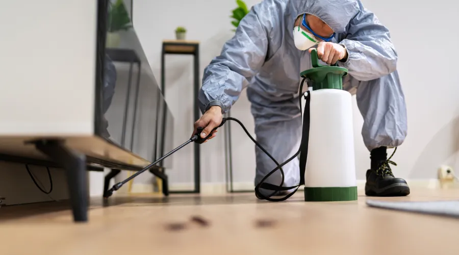 Person in protective suit and mask kneeling to spray disinfectant on a wooden floor with a handheld sprayer